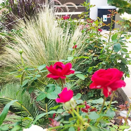 Apartament Marina, Hara, Rodos Ixia (Rhodes)