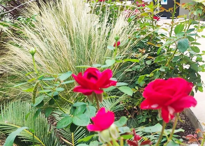 Apartament Marina, Hara, Rodos Ixia (Rhodes)